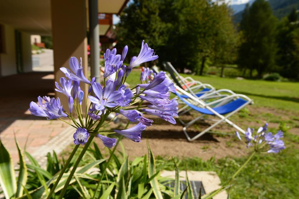 La Casa Al Noce Aparthotel Mezzana  Δωμάτιο φωτογραφία
